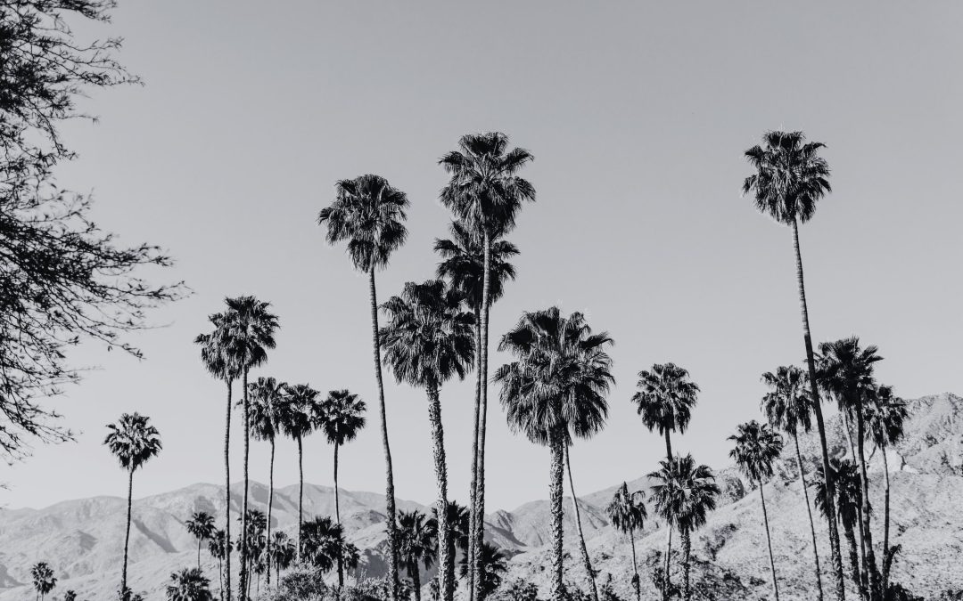 Finding Joy in the Journey: Recovery Adventures That Heal